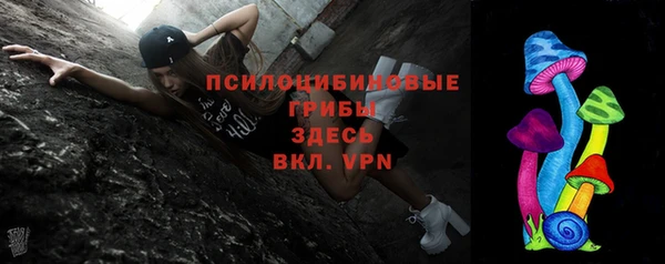 меф Алексин