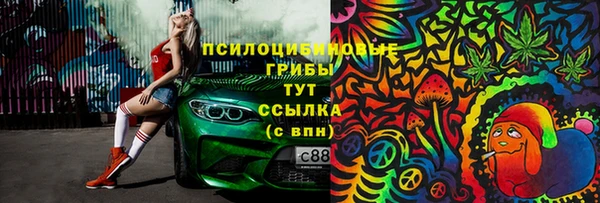 меф Алексин