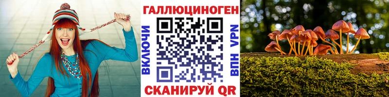 Галлюциногенные грибы прущие грибы  MEGA зеркало  Багратионовск 